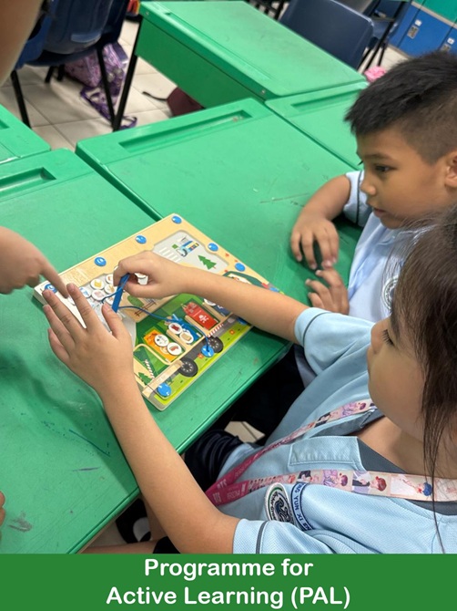 Programme for Active Learning