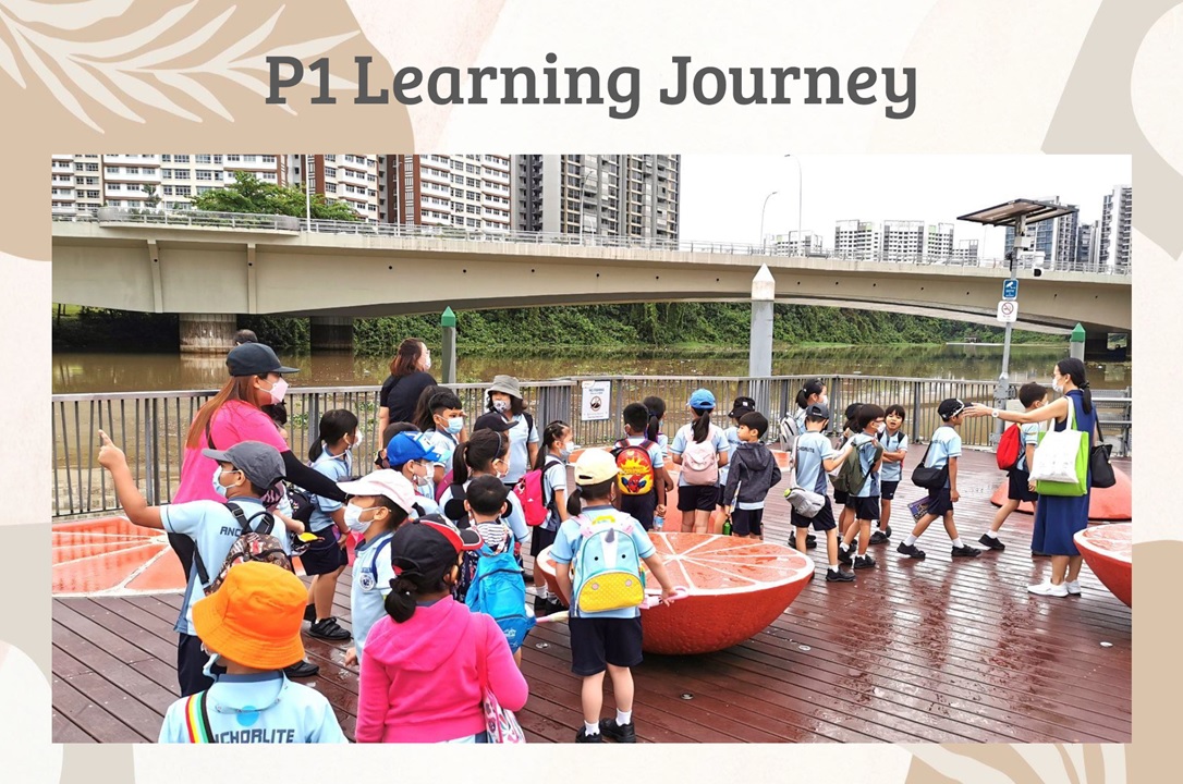 P1 Learning Journey